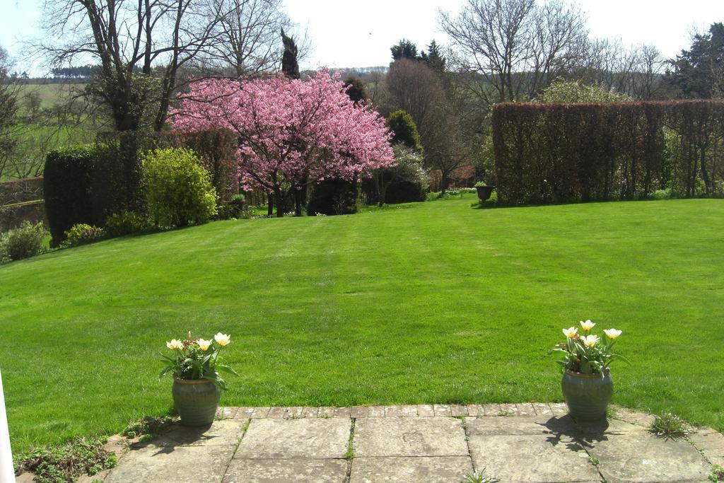 Stowting Hill House Bed & Breakfast Ashford  Luaran gambar